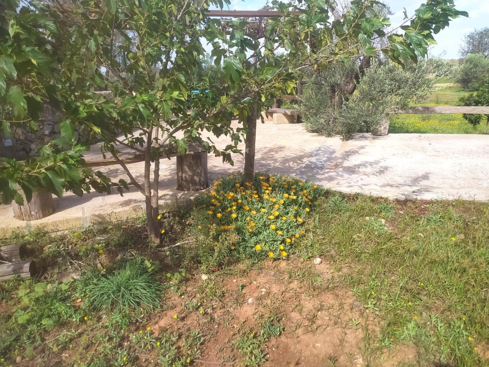 Trullo Contrada Stracca Guest House Alliste Ngoại thất bức ảnh